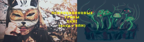 герыч Верхний Тагил
