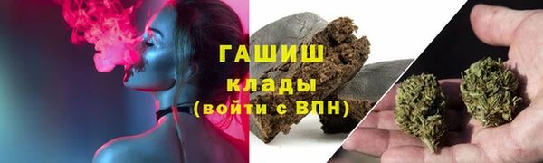 ПСИЛОЦИБИНОВЫЕ ГРИБЫ Верея