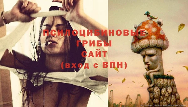 ПСИЛОЦИБИНОВЫЕ ГРИБЫ Верея