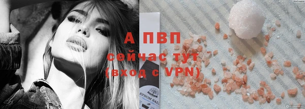 спайс Вяземский