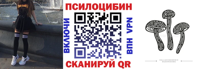 цена наркотик  Заводоуковск  Псилоцибиновые грибы мицелий 